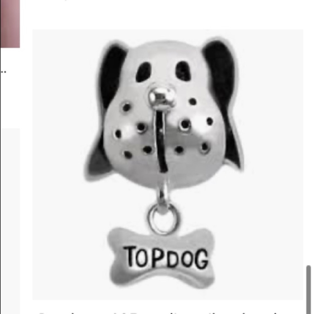 Top dog dangle charm (not pandora)